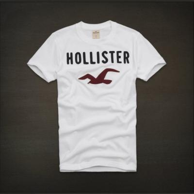 Hollister Men Shirts-424